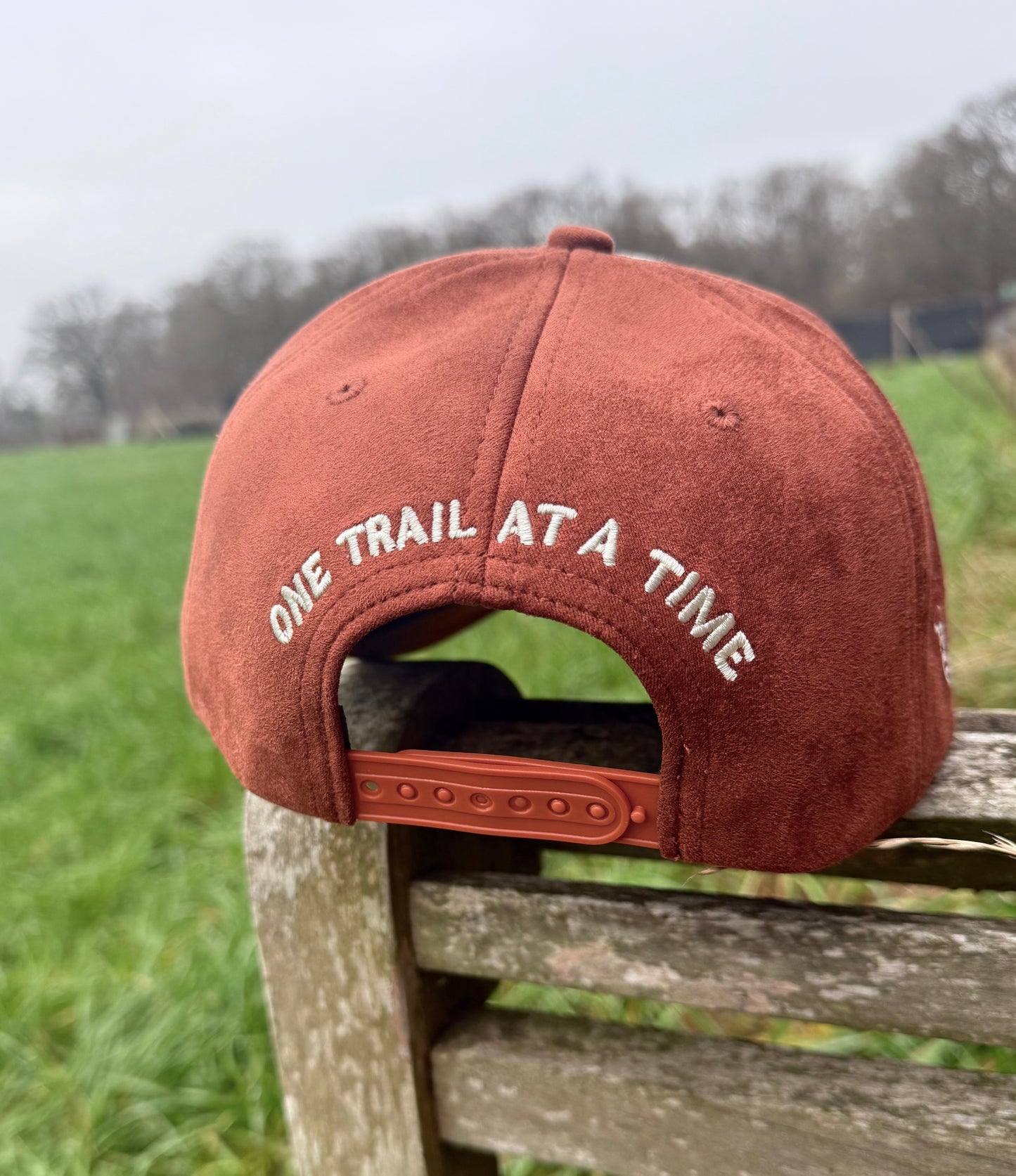 Brown & Beige Suede Cap
